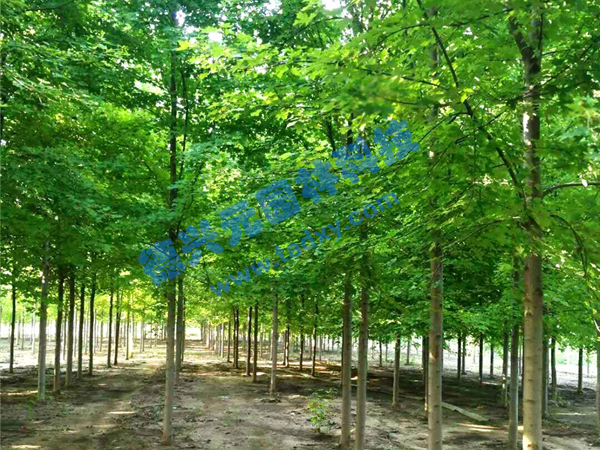 c(din)鿴Ԕ(x)Ϣ(bio)}t xΔ(sh)1818